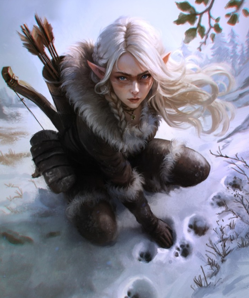 Les éclaireurs de Drakerion